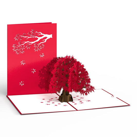 Japanese Maple Pop-Up Card