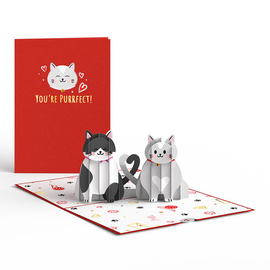 Love Cats Pop-Up Card