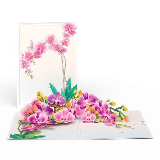 Watercolor Orchid Pop-Up Card