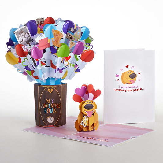 Disney and Pixar Up Dug Valentine Bundle