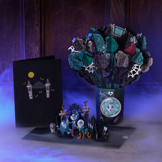 Disney The Haunted Mansion Bundle